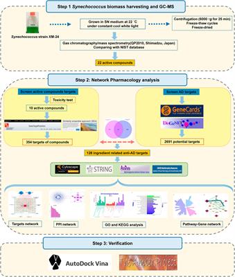 Network pharmacology‒based analysis of marine cyanobacteria derived bioactive compounds for application to Alzheimer’s disease